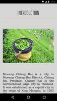 Chiang Rai screenshot 2