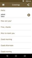 Onboard Romanian Phrasebook 截图 3