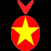 ViCall APK