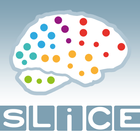 SLICE Stroke Live Course icône