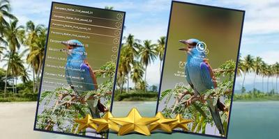 European Roller Sound : European Roller Song screenshot 1