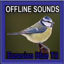 Eurasian Blue Tit Bird Sounds APK