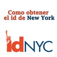 ID NYC captura de pantalla 3