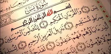 Al Quran Surat Yasin