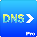 DNS Forwarder Pro APK
