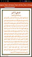 Nad e Ali (نادِ علی) تصوير الشاشة 3