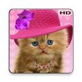 Cat Wallpaper