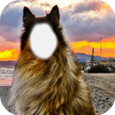 Funny Dog Photo Editor APK