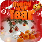 Happy New Year Photo Frame-icoon