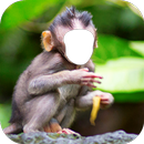 Monkey Photo Editor-APK