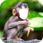 Monkey Photo Editor आइकन