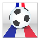 Championnat d'Europe 2016 icône