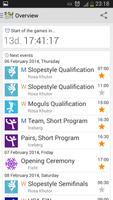 2014 Sochi Winter Games পোস্টার