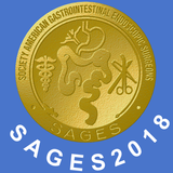 SAGES 2018 icône