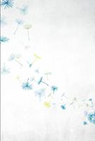 Eventos 海報
