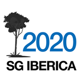 SGI 2020 icône