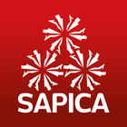 Sapica 2016 biểu tượng