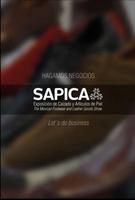 Sapica 2016 poster
