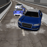 Role Play Race Driver