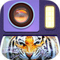 Animal Photo Frames
