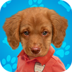 Make Me Dog APK