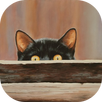 Trouver Le Chat 2 APK