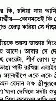 পদ্মা নদীর মাঝি screenshot 3