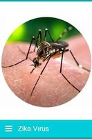 Virus del Zika - Noticias الملصق