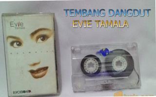 Evie Tamala ~ mp3 terpopuler screenshot 1