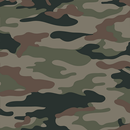 Army Camouflage Live Wallpaper Theme Background APK