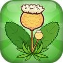 Guardião do Jardim APK