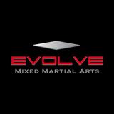 Icona Evolve MMA