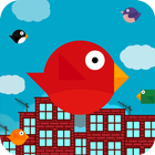 Buddy Bird icon