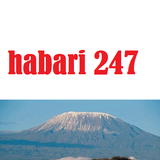 Habari 247 圖標