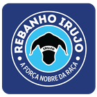 Rebanho Irujo icône