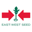 Mundo East-West Seed (EWS)