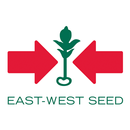 Mundo East-West Seed (EWS) aplikacja