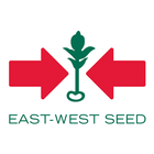 Mundo East-West Seed (EWS) ไอคอน