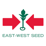Mundo East-West Seed (EWS) আইকন