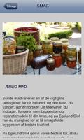 Egelund Slot 截图 2