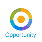 Opportunity icon