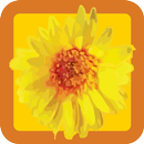 Happy Habits: Choose Happiness APK