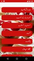 Meethay Pakwan Urdu Guide 截圖 2