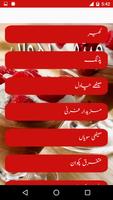 Meethay Pakwan Urdu Guide ảnh chụp màn hình 3