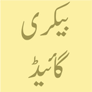 Bakery Guide Urdu APK