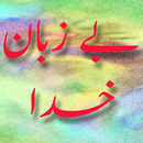 Bay Zuban Khuda Urdu Novel APK