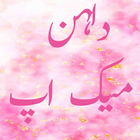 Dulhan MakeUp In Urdu ไอคอน