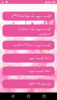Dulhan MakeUp In Urdu capture d'écran 2