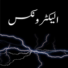 Electronics Guide in Urdu icône