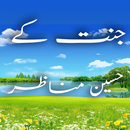 Jannat Kay Haseen Manazir APK